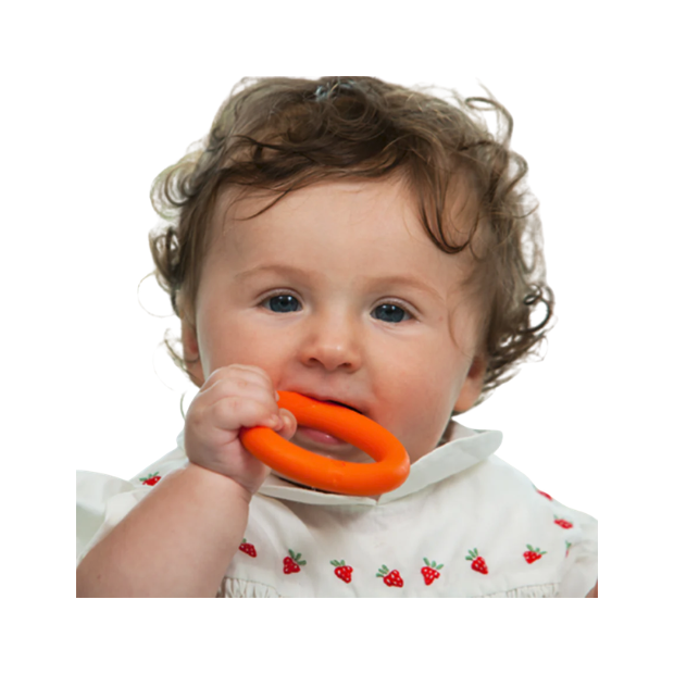 Kau & Beißtrainer Buchstaben