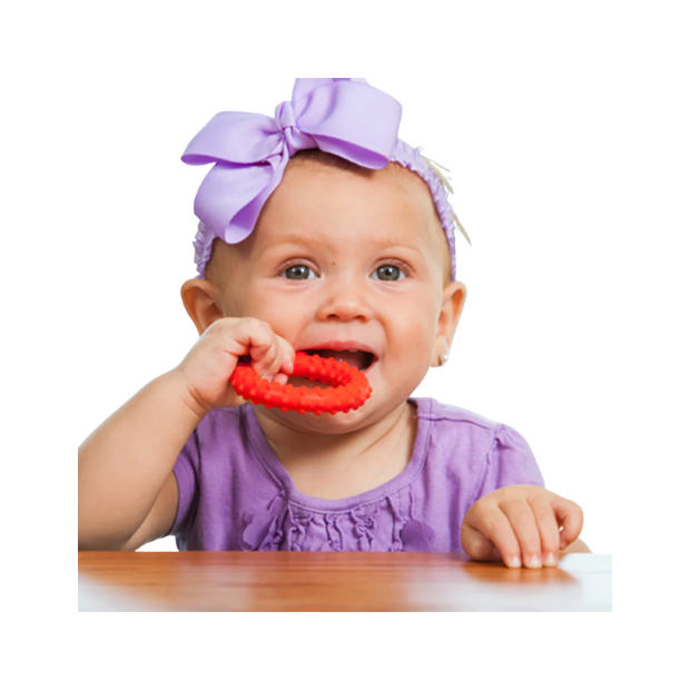 Kau & Beißtrainer Buchstaben