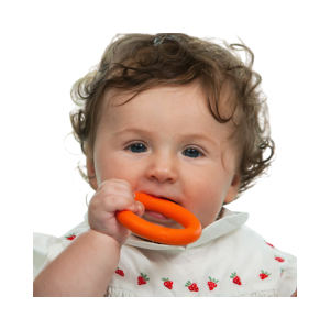 Kau & Beißtrainer Buchstaben