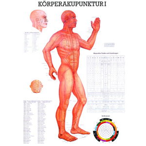 Körperakupunktur I