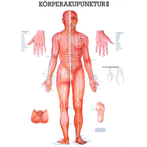 Körperakupunktur II