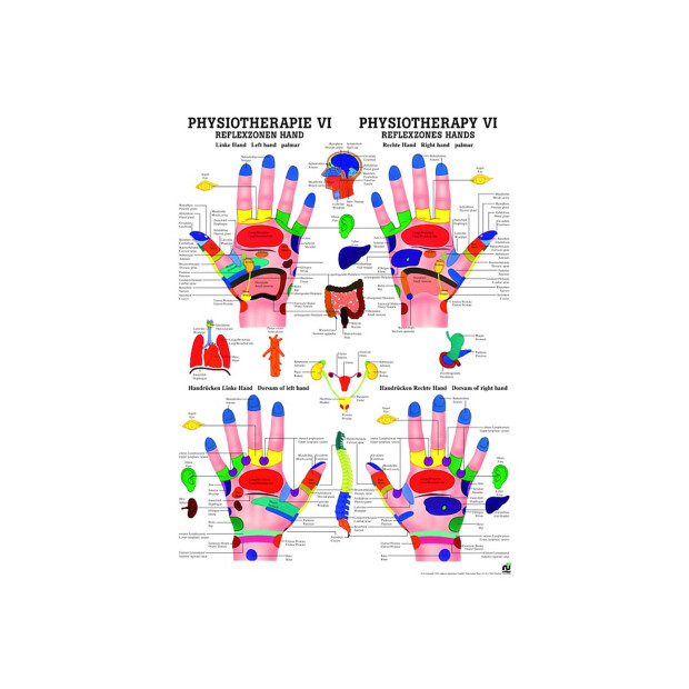 Reflexzonen Hand 24x34cm