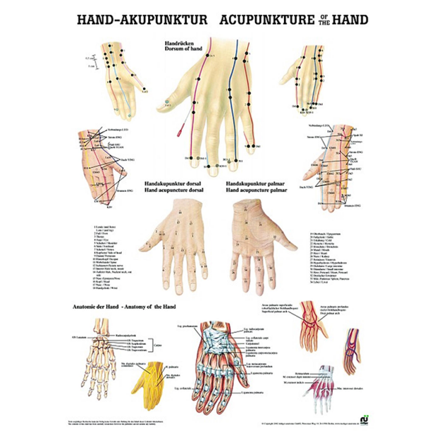Handakupunktur 24x34cm