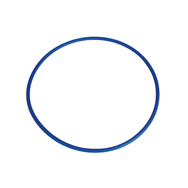 Abbildung: Gymnastikreifen in Blau.