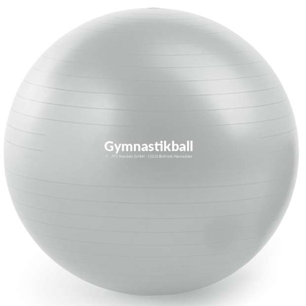 Gymnastikball PRO SET