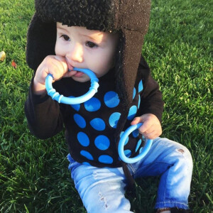 beissring von ark in verschiedenen Farben