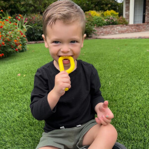 Abbildung: ARK Grabber P Tube