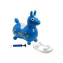 Gymnic Rody Komplett-Set inkl. Schaukel + Pumpe blau