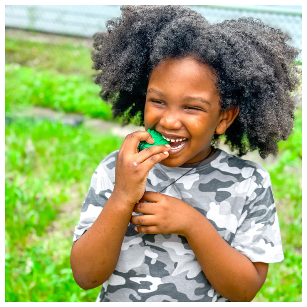 ARK Kauhalskette Triceratops