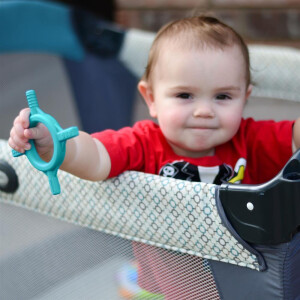 Beißring von Ark Tetra Bite in den verschiedenen...