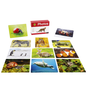 Fotoboxen Abbildung