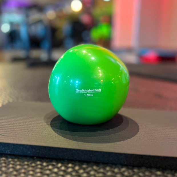 Gewichtsbälle Soft 2er-Set 5,0 kg