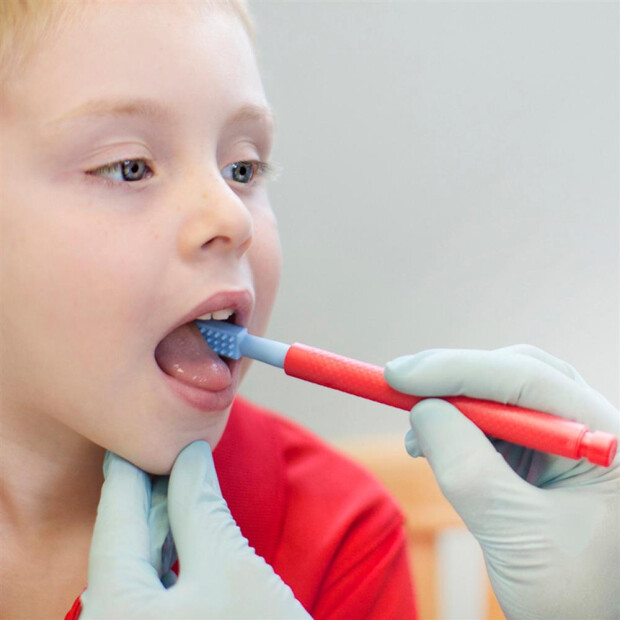 Z-Vibe® Vibrator + 1 Probe Tip Aufsatz Anwendung 2