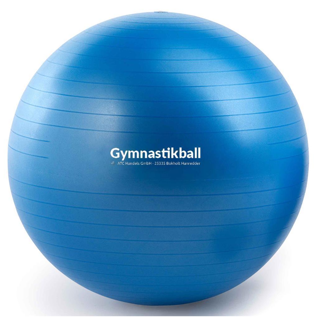 LYINBO Gummiball-Spielzeug Für Hunde – Mit Quietscher Und Knisterfunktion